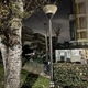 καμενη λαμπα Δημ. Καραολή