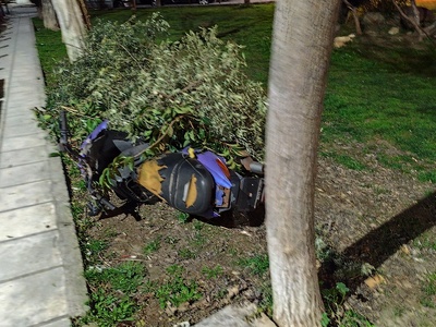 Σκούτερ σε Πάρκο 	Ιπποκράτους
