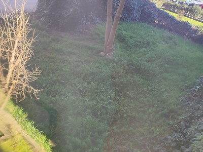 Ακαθάριστο οικόπεδο  	Αλ Παπαναστασίου