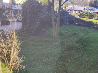 Ακαθάριστο οικόπεδο  	Αλ Παπαναστασίου