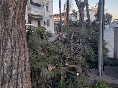 ενθ.αντιστασεως 		Κλαδιά