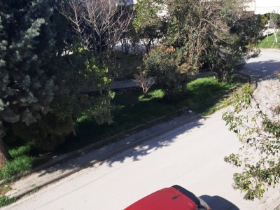 Κλαδεματα δεντρον  	Ισμήνης