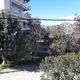 Κλαδεματα δεντρον   Ισμήνης