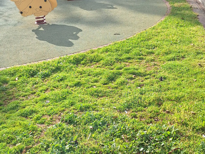 Φύτευση δένδρων πάρκο των Χαμένων Πατριδων Αγίου Βασιλείου