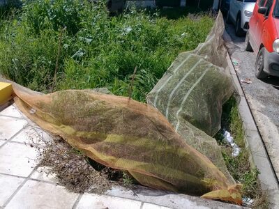 ΠΡΟΒΛΗΜΑ ΣΤΟ ΠΕΖΟΔΡΟΜΙΟ  23ο Δημοτικο   ΣΧΟΛΕΙΟΥ