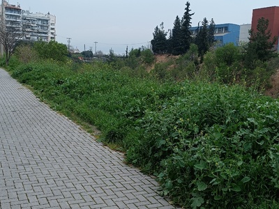 Καθαρισμός χόρτα κοινόχρηστων χώρων Δήμου   Ζαλόγγου  και Σινώπης