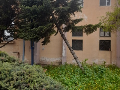 αμμεεσα