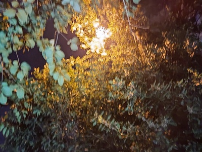 καπετανιδου 20
