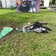 πεταμενα ρουχα στη μεση του γκαζον του παρκου