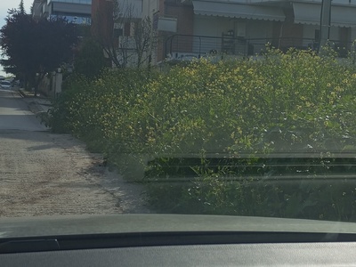 Κοπή χόρτων SOS 	Άρη Βελουχιώτη
