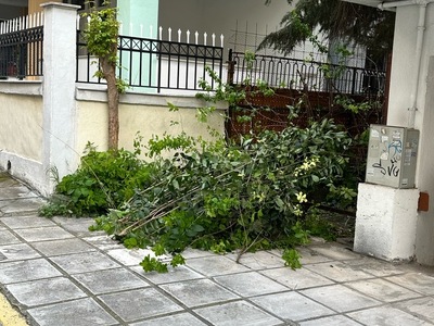 αποκομιδή κλαδιά  Γαβράδων