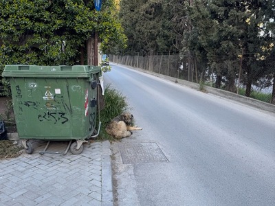 Αλλαγή κάδου  Αλεξ Δεληγιαννίδη