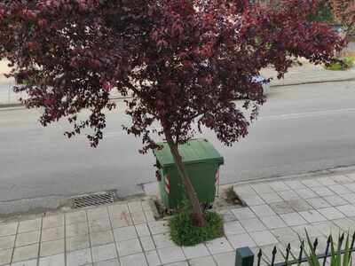 ΤΟΠΟΘΕΤΗΣΗ ΚΑΔΟΥ ΣΕ ΠΟΛΥ ΜΙΚΡΗ ΑΠΟΣΤΑΣΗ ΑΠΟ ΔΩΜΑΤΙΟ ΠΑΙΔΙΟΥ ΑΜΕΣΗ ΑΠΟΜΑΚΡΥΝΣΗ ΓΙΑ ΘΕΜΑΤΑ ΥΓΙΕΙΝΗΣ ΚΑΙ ΨΥΧΟΛΟΓΙΑΣ