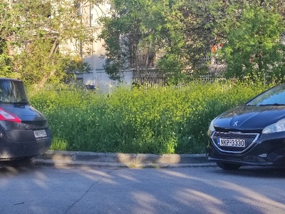 ΚΟΨΙΜΟ ΧΟΡΤΩΝ.   ΕΡΓΑΤΙΚΑ ΕΡΥΘΡΟΥ ΣΤΑΥΡΟΥ