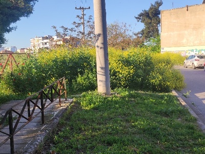 ΚΟΨΙΜΟ ΧΟΡΤΩΝ.   ΕΡΓΑΤΙΚΑ ΕΡΥΘΡΟΥ ΣΤΑΥΡΟΥ