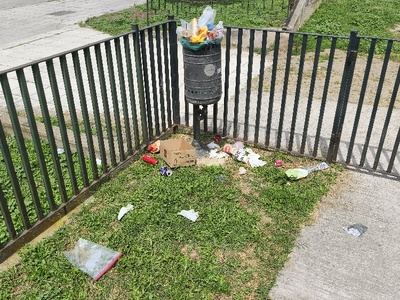 ΣΚΟΥΠΙΔΙΑ  Δωδώνης