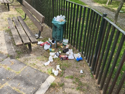 ΣΚΟΥΠΙΔΙΑ  Δωδώνης