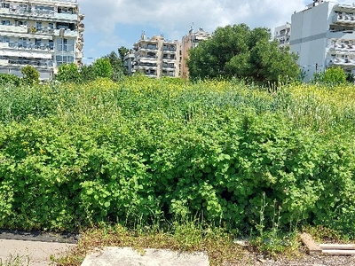 Κόδρα, Κούρεμα θάμνων