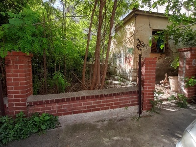 Αμμεσα  Καθαρισμος οικοπεδου  Χαιριανων