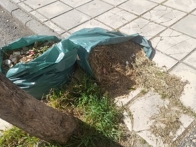 Πρασινες Σακουλες 	Αιγαιου