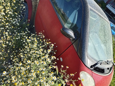 εγκαταλελειμμένο οχημα προέκταση Πόντου