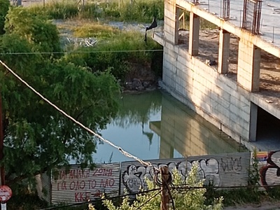 Στασιμα νερα   Σοφούλη,