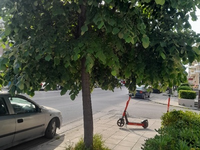 αμμεσα 	Ανδριανουπολεως