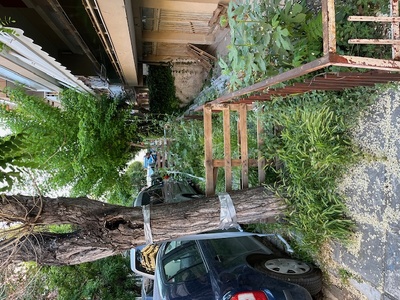 Πεζοδρόμιο με αυθαίρετη απαγόρευση διέυλεσης και χόρτα ύψους 1,50 μ....ΠΟΛΙΤΙΣΜΟΣ ΚΑΙ ΣΕΒΑΣΜΟΣ ΣΤΟΥΣ ΔΗΜΟΤΕΣ???????