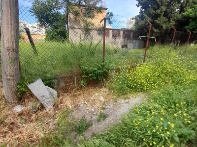 Χειμωνιδου  Καθαρισμα ολου οικοπεδου .... απο χορτα ... εξω στο πεζοδρομιο