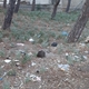 Πιθανή εστια μολυνσης σε κατοικημένη περιοχή