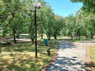 Σκουριασμένα σίδερα σε κάδους απορριμάτων στο μη διαμορφωμένο μερος του πάρκου Ούλοφ Πάλμε