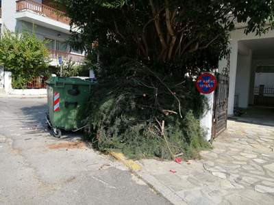 Συγκομιδή κλαδιών