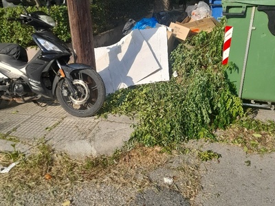 αλεξ φλεμιγκ