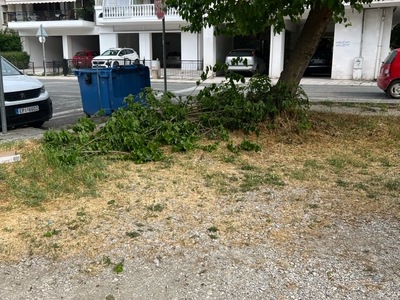 Καθαρισμος κλαδιων