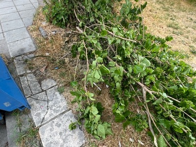 Καθαρισμος κλαδιων