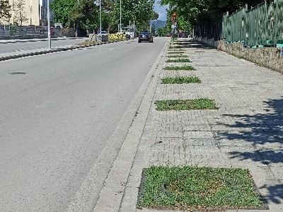 Φυτεμα νεων δενδρων  	Αδριανουπόλεως