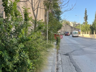 Κλάδεμα δέντρων 	Μεγάλου Αλεξάνδρου