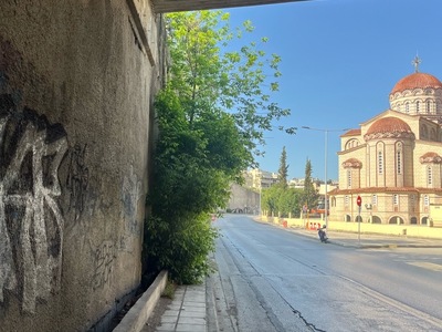 Κλάδεμα δέντρων 	Μεγάλου Αλεξάνδρου
