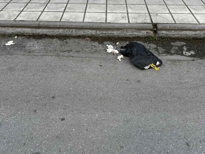 ΥΠΕΡΦΟΡΤΩΣΗ ΣΚΟΥΠΙΔΙΩΝ ΔΕΥΤΕΡΕΣ ΚΩΝΣΤΑΝΤΙΚΑΚΗ