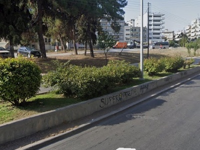 δεντροφύτευση σε παρτερι  διάζωμα στην αρχή την Γρηγορίου Κυδωνιών