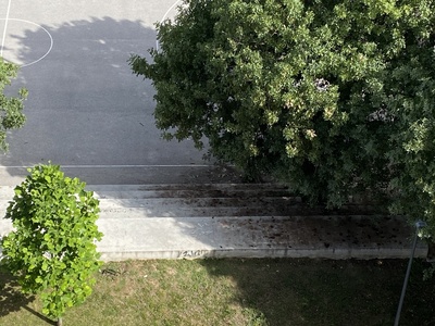 ΠΑΡΚΟ ΟΥΛΟΦ ΠΑΛΜΕ