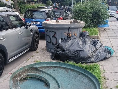 Χαλασμένος κάδος  	Θεμιστοκλή Σοφούλη