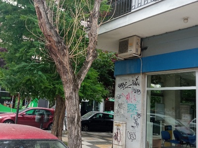 Ξερό δέντρο 	Προύσης