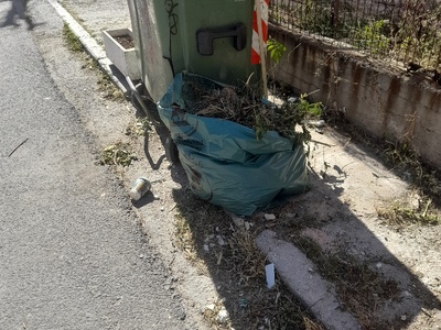 Π καρολιδου αποκομιδή κλαδιά