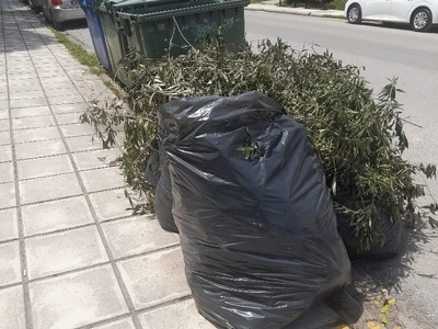 Σακκουλες   κλαδια 	Μουσων