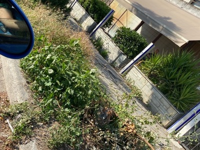 πεζοδρομιο γεματο χορτα  Νικολάου Πλαστήρα