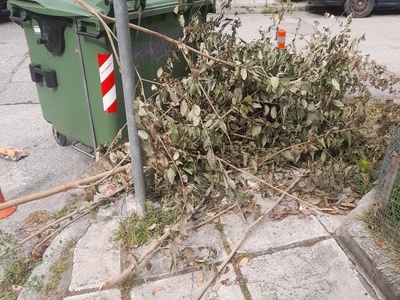 Κυζικου  κλαδια