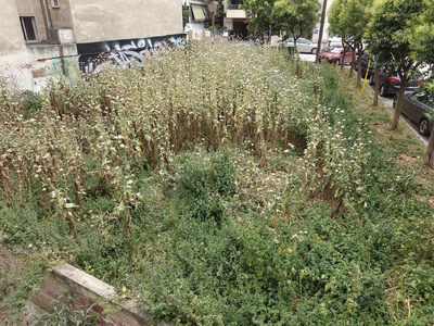 ΧΟΡΤΑ ΔΗΜΟΤΙΚΟΥ ΟΙΚΟΠΕΔΟΥ  Δορυλαίου και Αλικαρνασσου