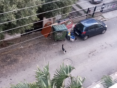 ΔΙΑΦΟΡΑ ΟΓΚΩΔΗ ΑΝΤΙΚΕΙΜΕΝΑ (ΠΑΛΙΑ ΕΠΙΠΛΑ)  	Διογένους