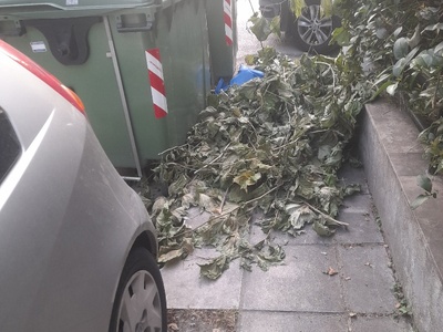 Κυζικου 	Κλαδιά μετα σκουπισμα.